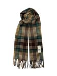 (image for) Cashmere Feel Plaid Scarf 12-pack Brown Multi SW-71